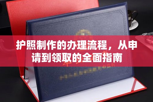 江达护照制作的办理流程，从申请到领取的全面指南