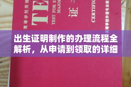 江达出生证明制作的办理流程全解析，从申请到领取的详细指南