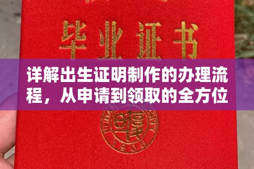 江达详解出生证明制作的办理流程，从申请到领取的全方位指南