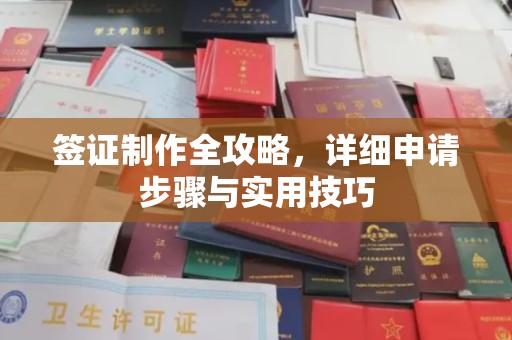 江达签证制作全攻略，详细申请步骤与实用技巧