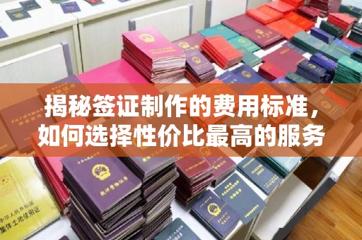 江达揭秘签证制作的费用标准，如何选择性价比最高的服务？