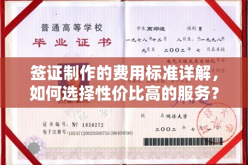 江达签证制作的费用标准详解，如何选择性价比高的服务？